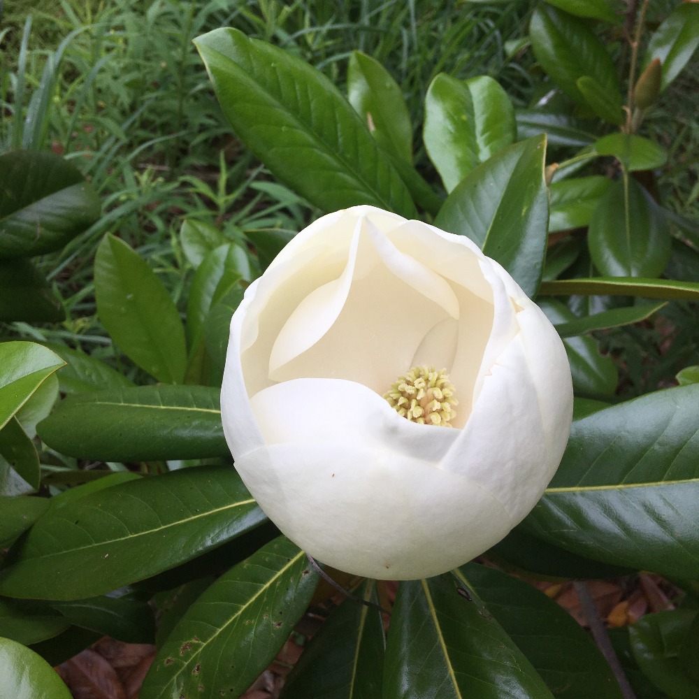 Meet your Posher, Mikaela